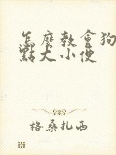 怎么教会狗狗定点大小便