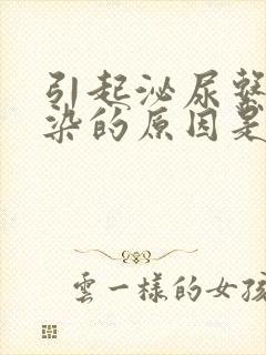 引起泌尿系统感染的原因是什么