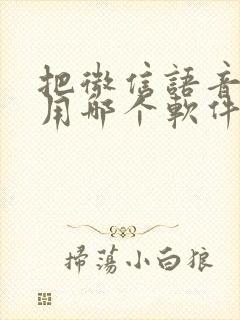 把微信语音打包用哪个软件