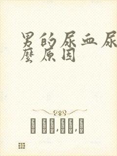 男的尿血尿是什么原因