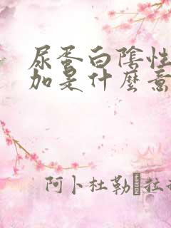 尿蛋白阴性一个加是什么意思