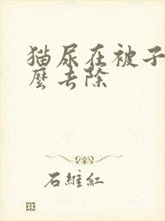 猫尿在被子上怎么去除