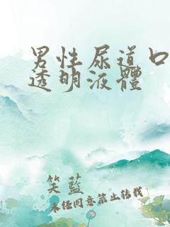 男性尿道口分泌透明液体