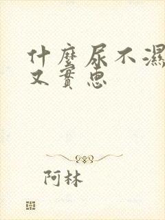 什么尿不湿好用又实惠