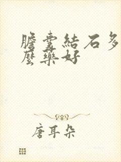 胆囊结石多吃什么药好