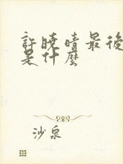 许晓晴最后结局是什么