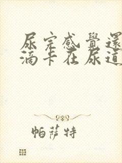 尿完感觉还有几滴卡在尿道里