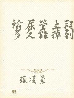 输尿管上段结石多久能掉到中下段