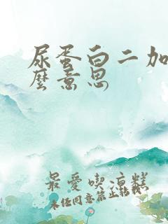 尿蛋白二加是什么意思