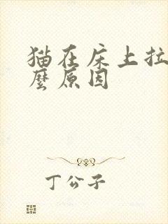 猫在床上拉尿什么原因