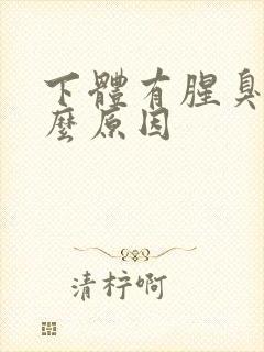 下体有腥臭味什么原因