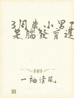 3周岁小男孩总是脑发育迟缓