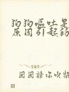 狗狗呕吐是什么原因引起的