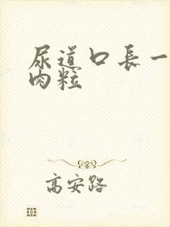 尿道口长一堆小肉粒