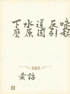 下水道反味是什么原因引起的