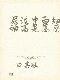 尿液中白细胞酯酶高是怎么回事