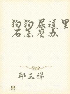 狗狗尿道里有结石怎么办