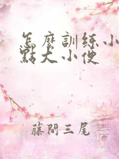 怎么训练小狗定点大小便