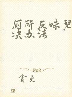 厕所反味儿的解决办法