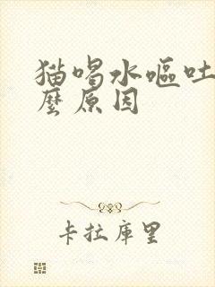 猫喝水呕吐是什么原因