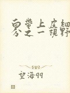 白带上皮细胞2分之一视野