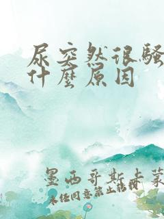 尿突然很骚臭是什么原因