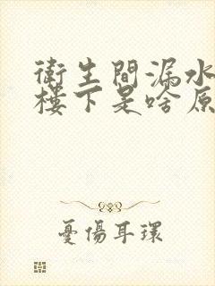 卫生间漏水漏到楼下是啥原因