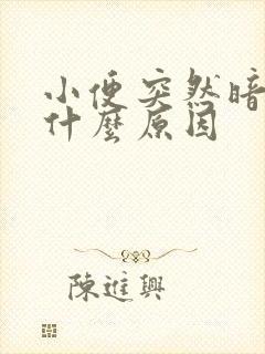 小便突然暗红色什么原因