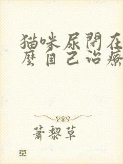 猫咪尿闭在家怎么自己治疗