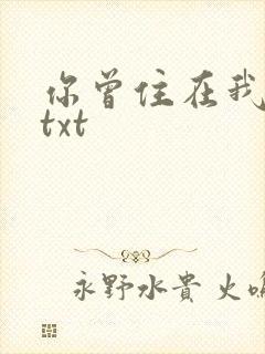 你曾住在我心上txt