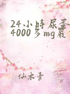 24小时尿蛋白4000多mg严重吗