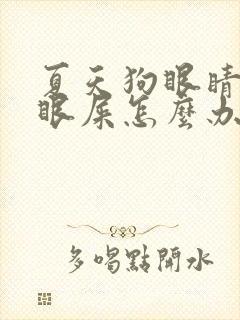 夏天狗眼睛好多眼屎怎么办