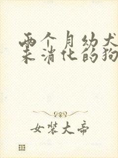 两个月幼犬吐了未消化的狗粮