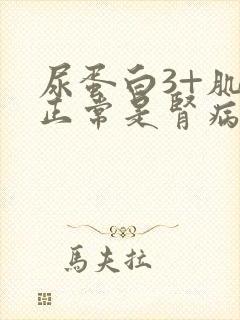 尿蛋白3+肌酐正常是肾病几期