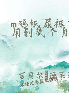 m码纸尿裤可以用到几个月