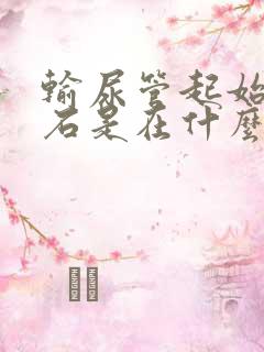 输尿管起始段结石是在什么位置