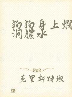 狗狗身上烂了个洞脓水