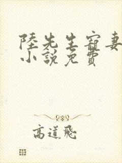 陆先生宠妻日常小说免费