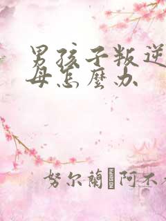 男孩子叛逆打父母怎么办