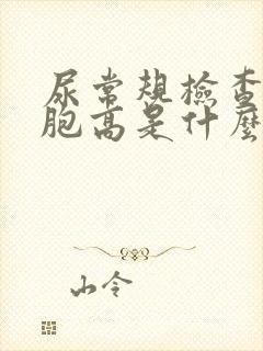 尿常规检查红细胞高是什么意思