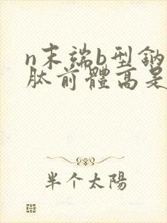 n末端b型钠尿肽前体高是怎么回事