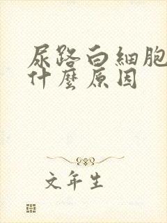 尿路白细胞高是什么原因