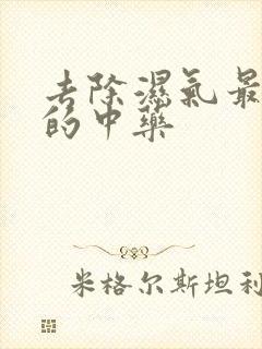 去除湿气最有效的中药