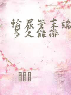 输尿管末端结石多久能排