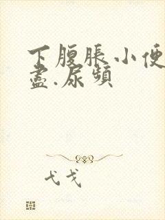 下腹胀小便尿不尽.尿频