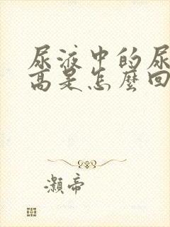 尿液中的尿蛋白高是怎么回事