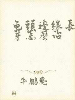 龟头边缘长小肉芽怎么治