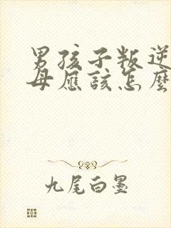 男孩子叛逆期父母应该怎么做