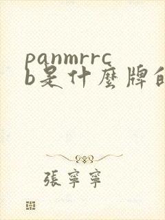 panmrrcb是什么牌的纸尿裤