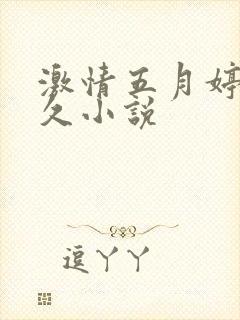 激情五月婷婷久久小说